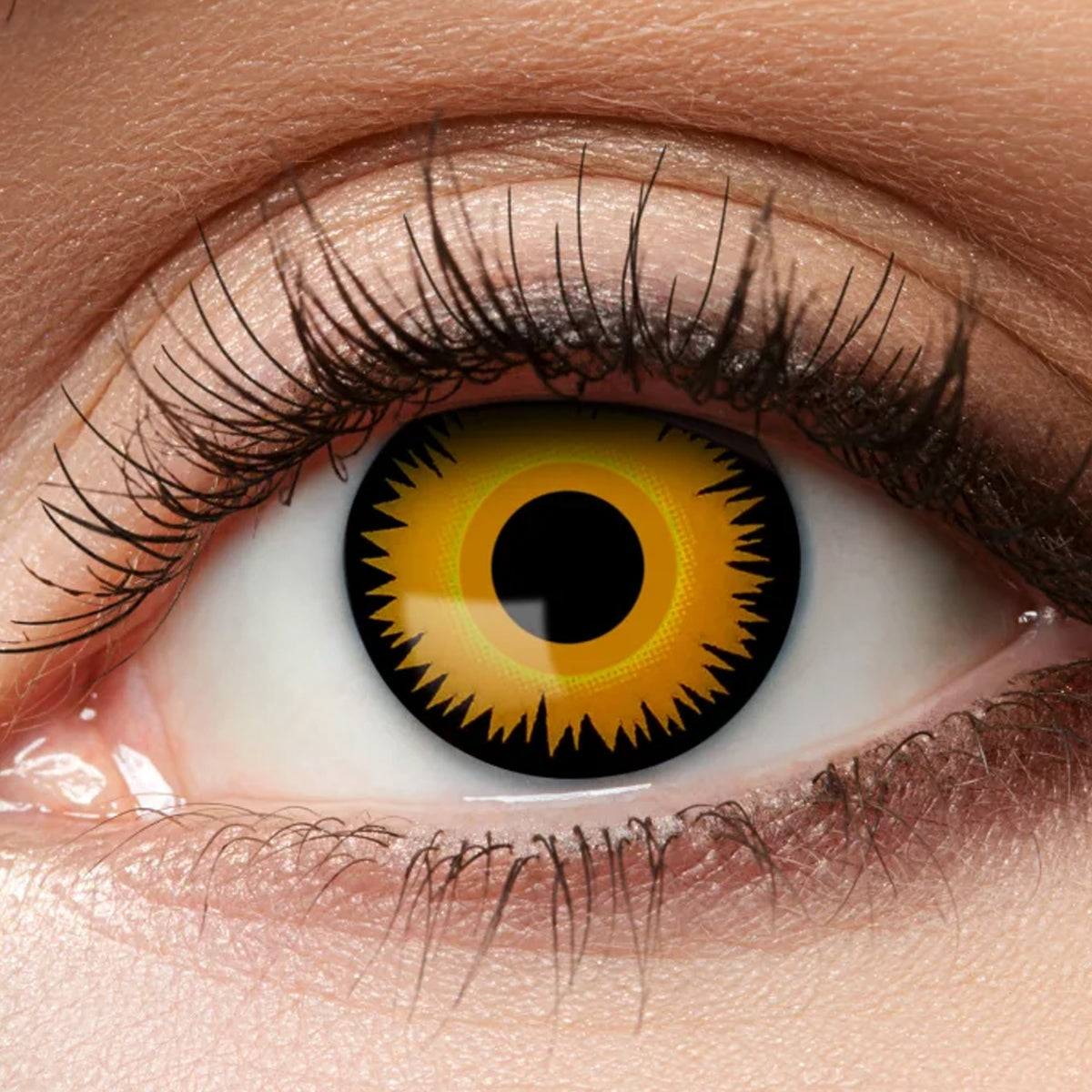 Löwe 3 Monatskontaktlinsen (orange/schwarz) M30 - Eyecatcher – Cosplay Kontaktlinsen kaufen bei mamike.de