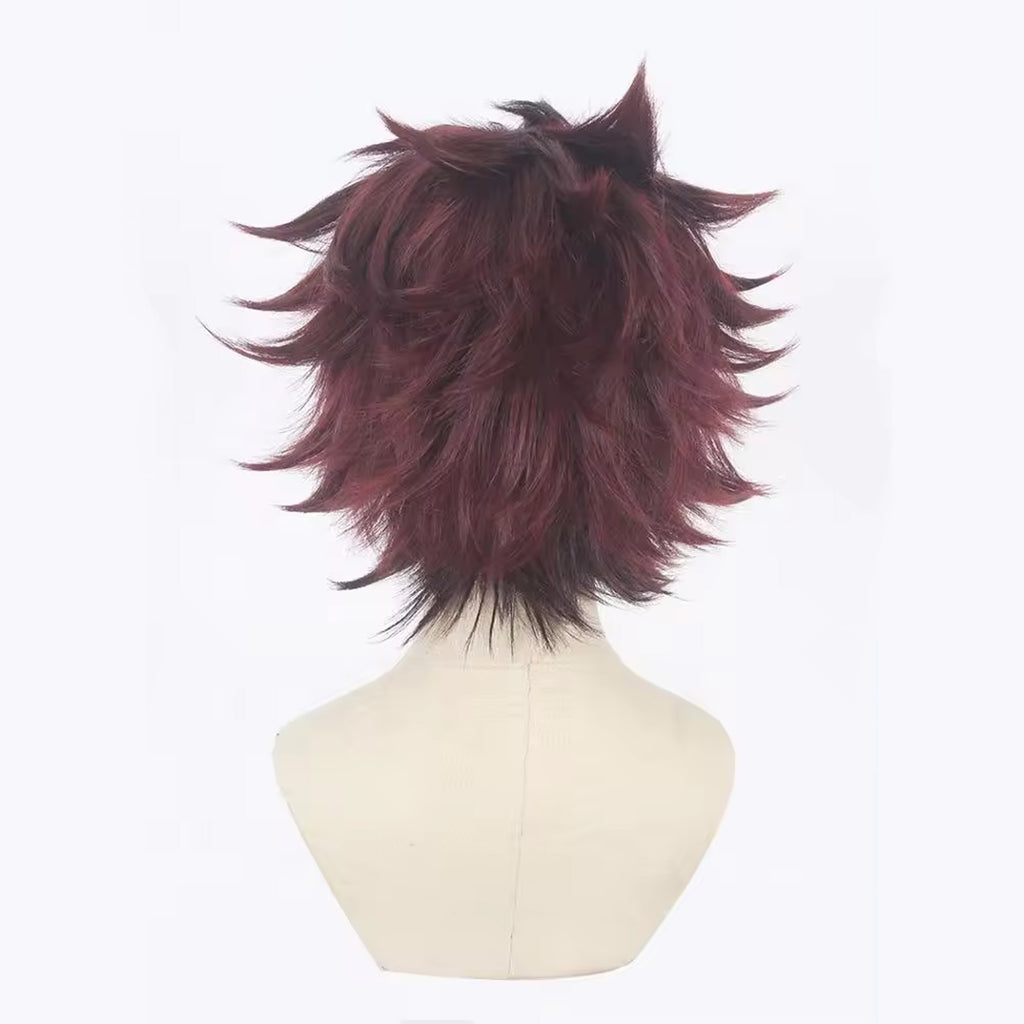 Perücke Tanjiro (30 cm)